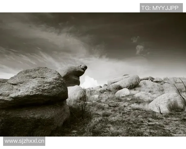 可兰白克的传奇人生与不屈精神探秘之旅