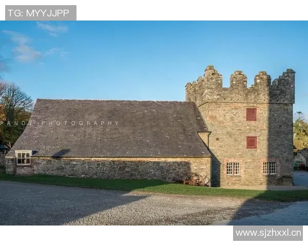 吉布森的传奇人生与艺术成就探秘：从电影到文学的跨界之旅