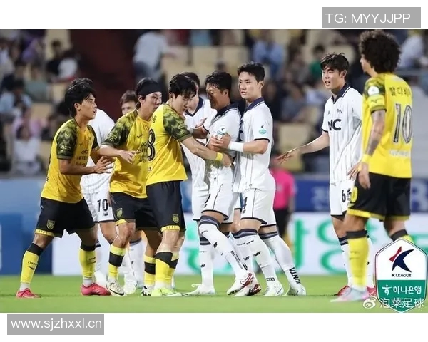 首尔依恋与城南足球俱乐部的对决揭示韩国足球的竞争与魅力